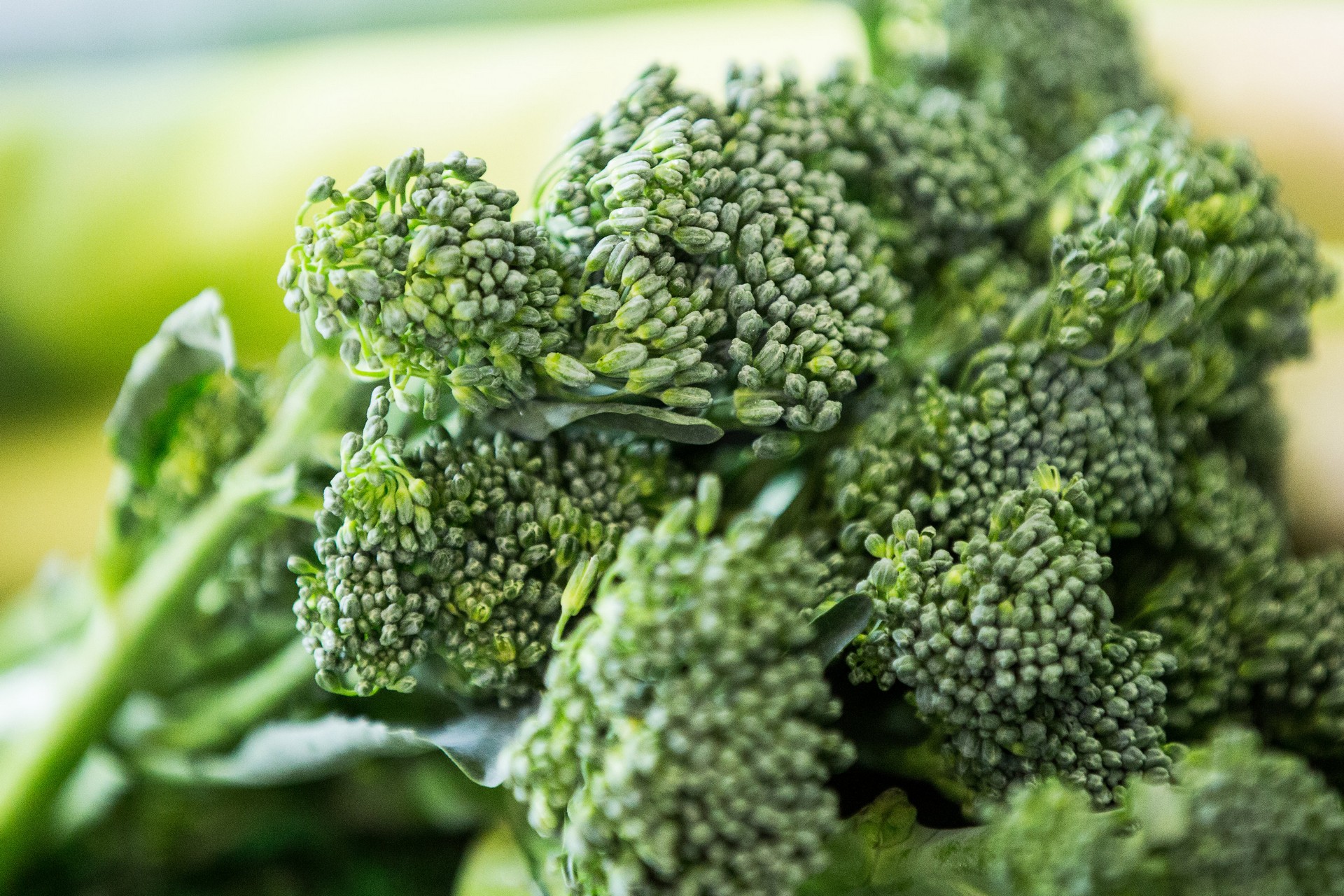 Fresh broccoli available at Big Fresh in Mosta