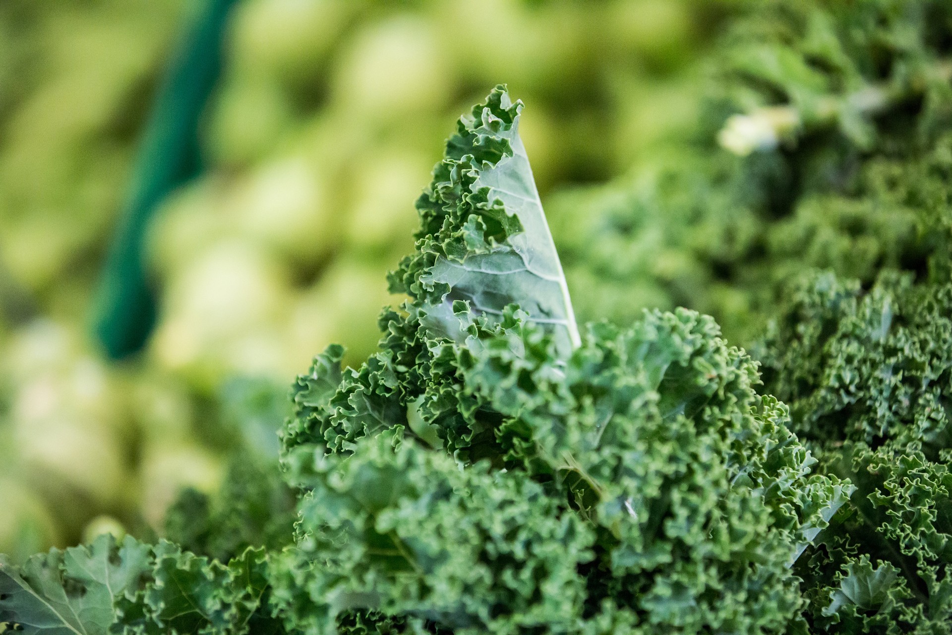 Fresh kale available at Big Fresh in Mosta