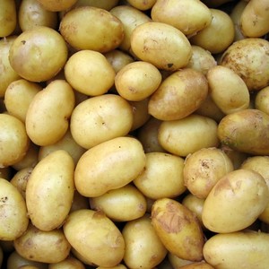 Baby Potatoes – local