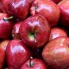 Marlene Red Apples