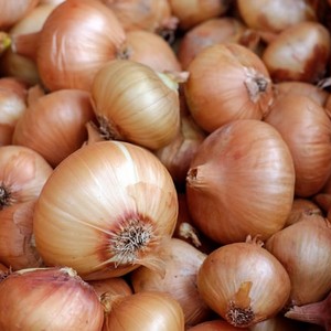 Yellow Onions – foreign