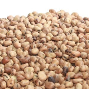 Ful ta’ Girba (Dried Tic Beans)