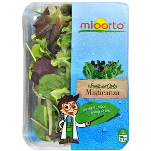 Misticanza salad