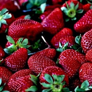 Strawberries – local