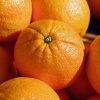 Oranges (To Eat)