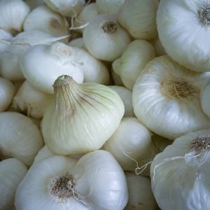 White Onions – local
