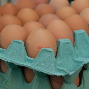 Eggs