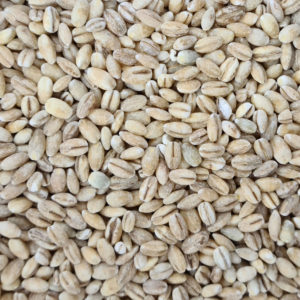 Pearl Barley – Terravecchia